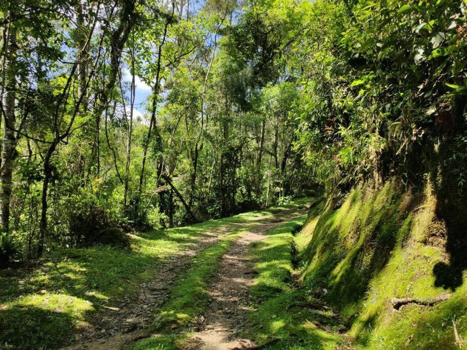 فيلا Linda Casa Em Visconde De Maua Perto Da Cachoeira المظهر الخارجي الصورة